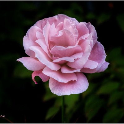 Photo from Maria Couto