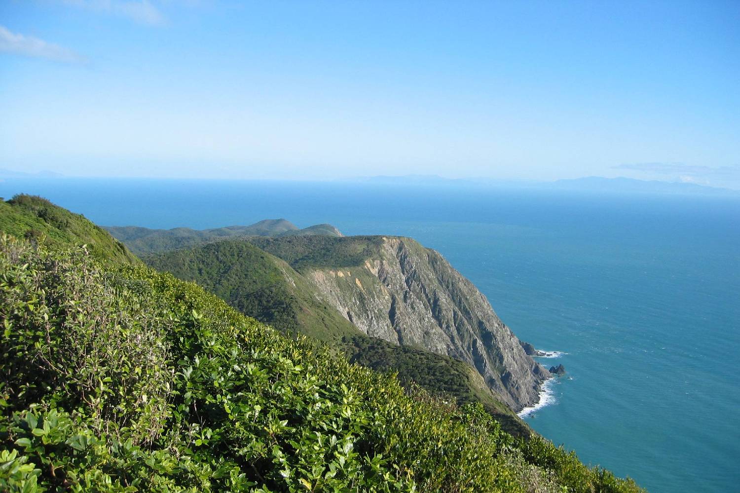 Private Chef in Kapiti Coast District Private Chef in Kapiti Coast District header