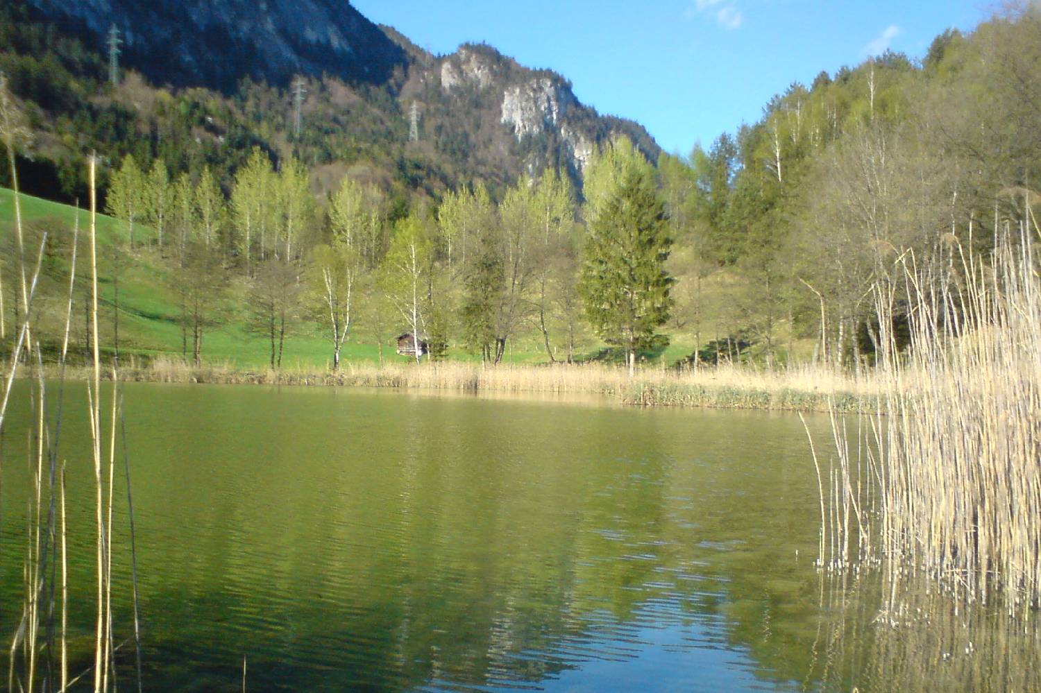 Private Chef in Politischer Bezirk Kufstein Private Chef in Politischer Bezirk Kufstein header