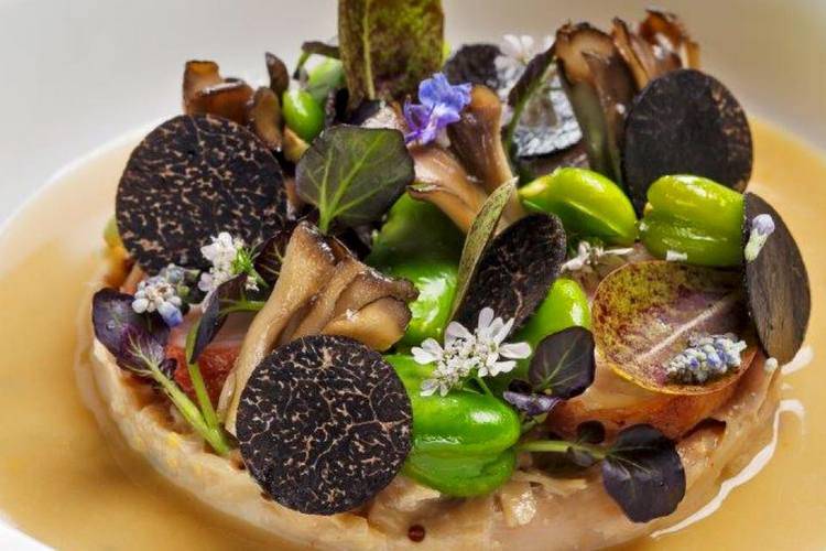 An outstanding dish cooked by private chef in Brussels Dish cooked by a private chef in Brussels