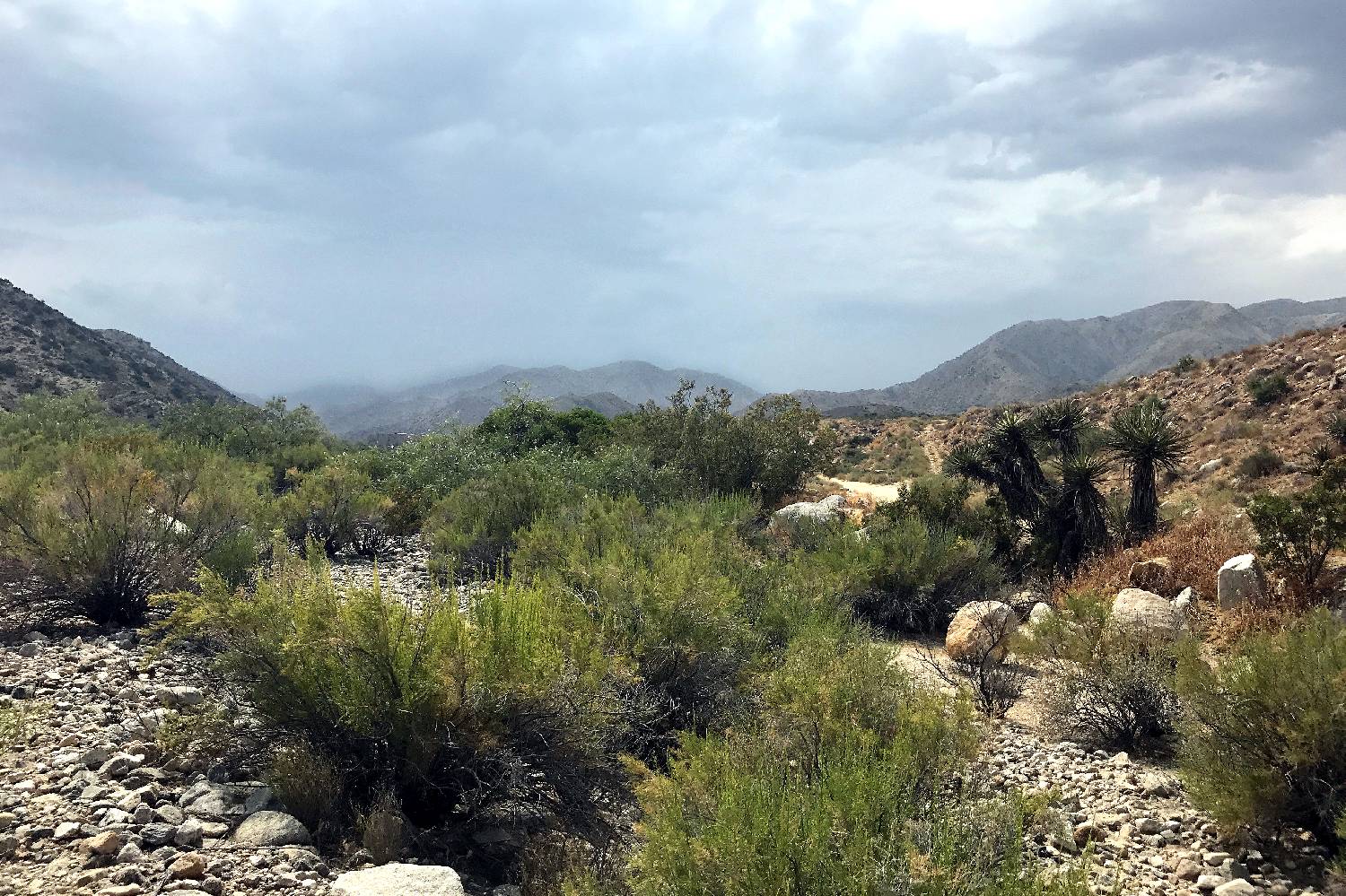 Private Chef in Yucca Valley Take a Chef