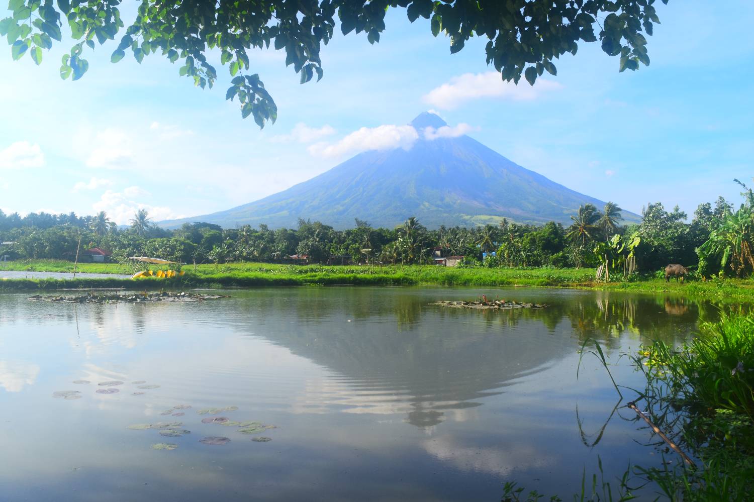 Private Chef in Bicol Private Chef in Bicol header