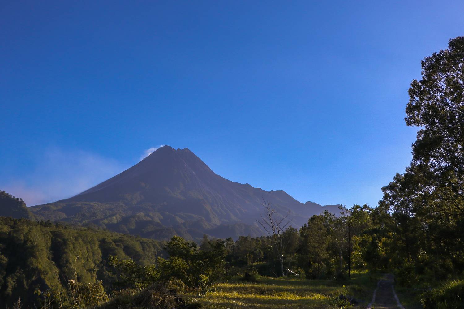 Private Chef in Magelang Private Chef in Magelang header