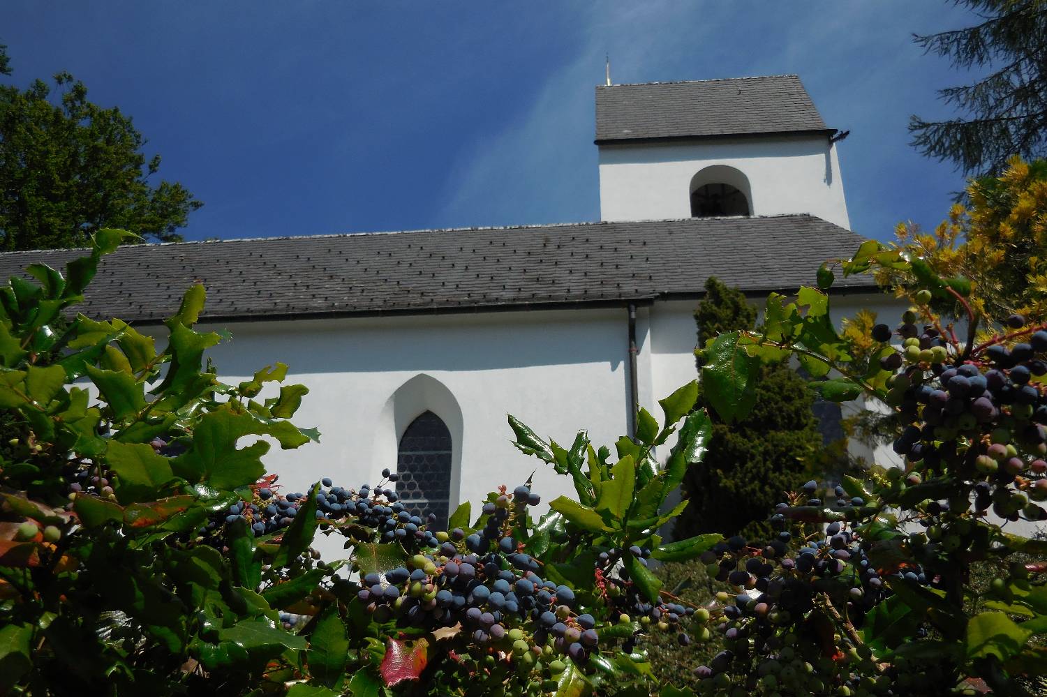Private Chef in Canton of Nidwalden Private Chef in Canton of Nidwalden header