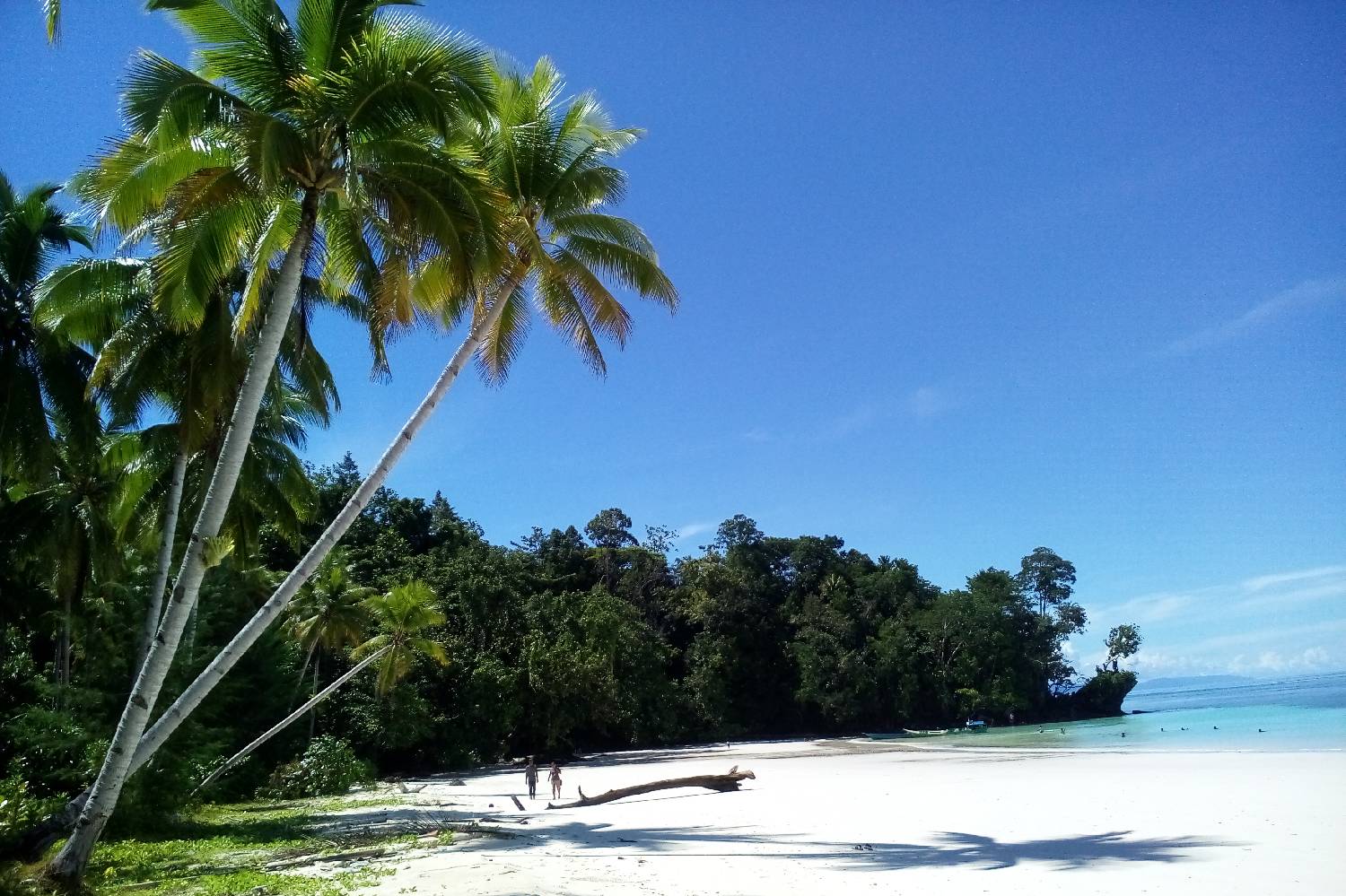 Private Chef in Kabupaten Fakfak Private Chef in Kabupaten Fakfak header