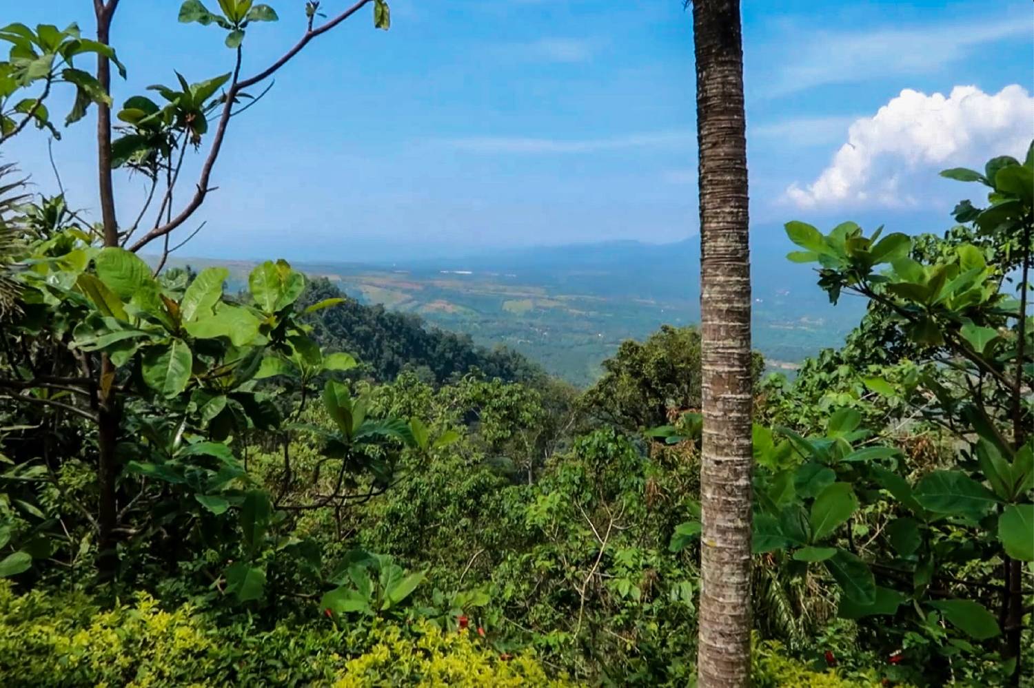 Private Chef in Province of Bataan Private Chef in Province of Bataan header