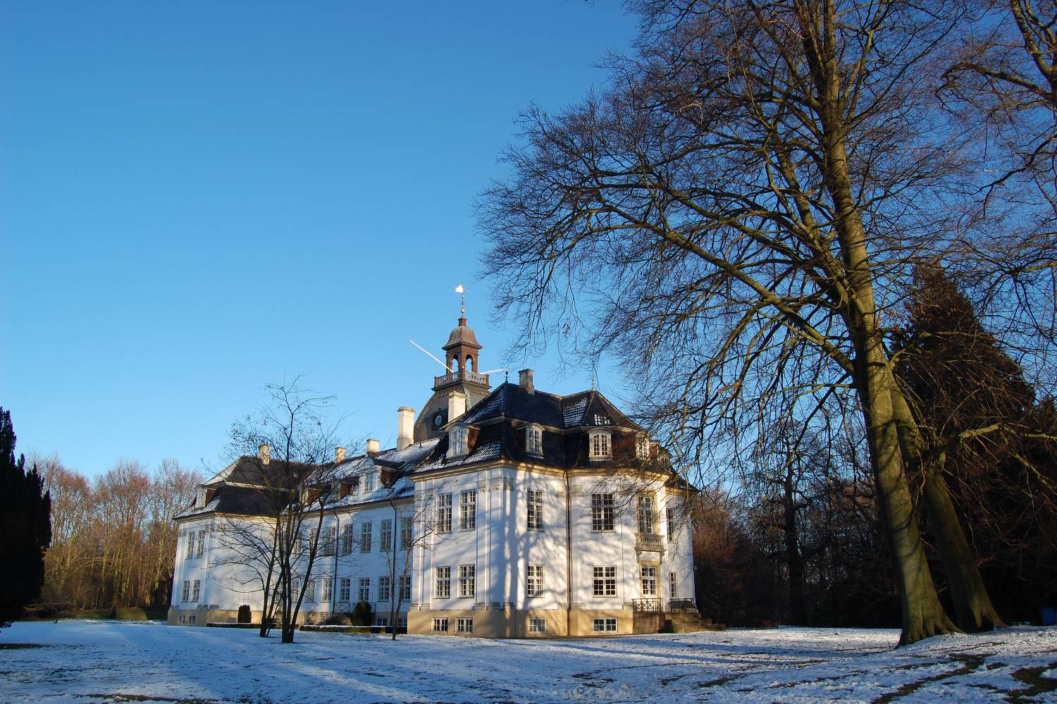 Private Chef in Charlottenlund Private Chef in Charlottenlund header