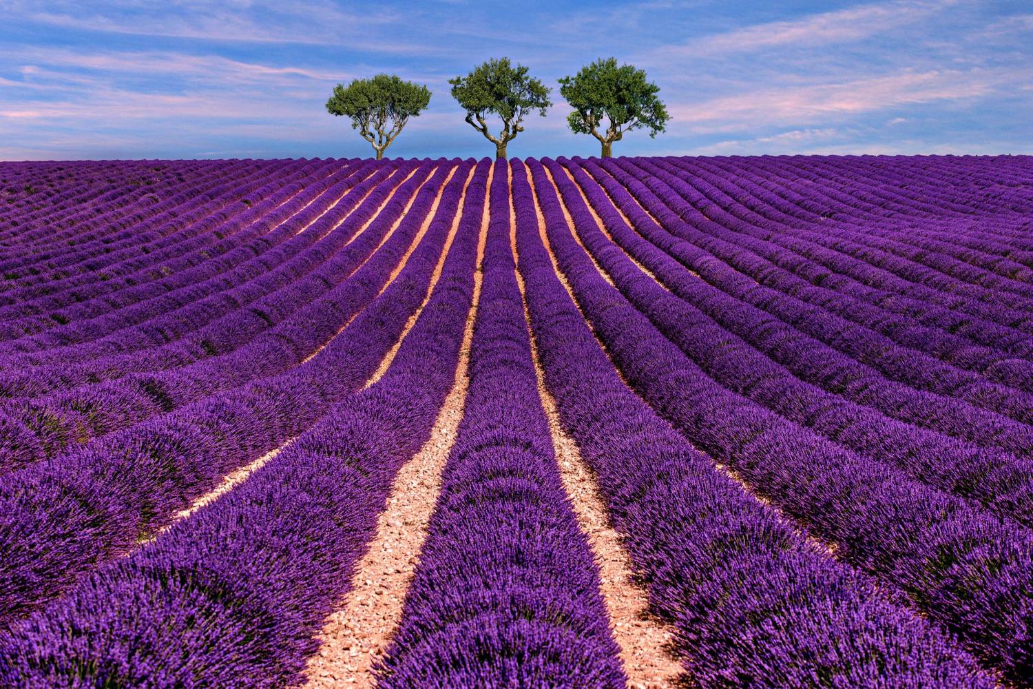 Profitez d'un chef privé après une journée incroyable en Provence Chef a Domicile à Provence header