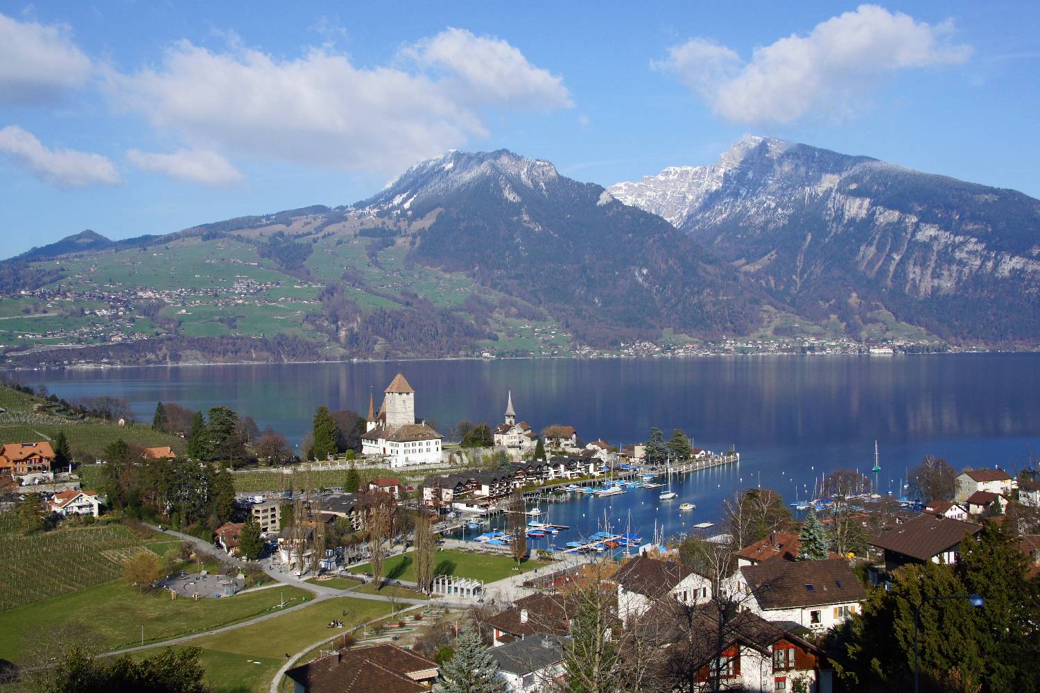 Private Chef in Spiez Private Chef in Spiez header