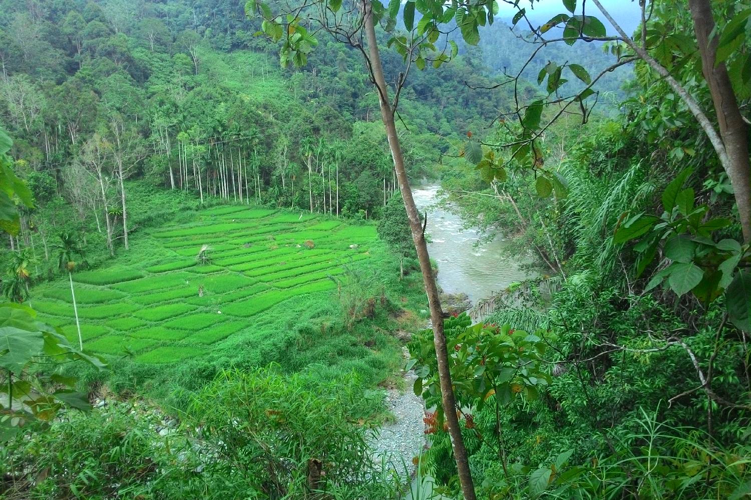 Private Chef in Kabupaten Pidie Private Chef in Kabupaten Pidie header