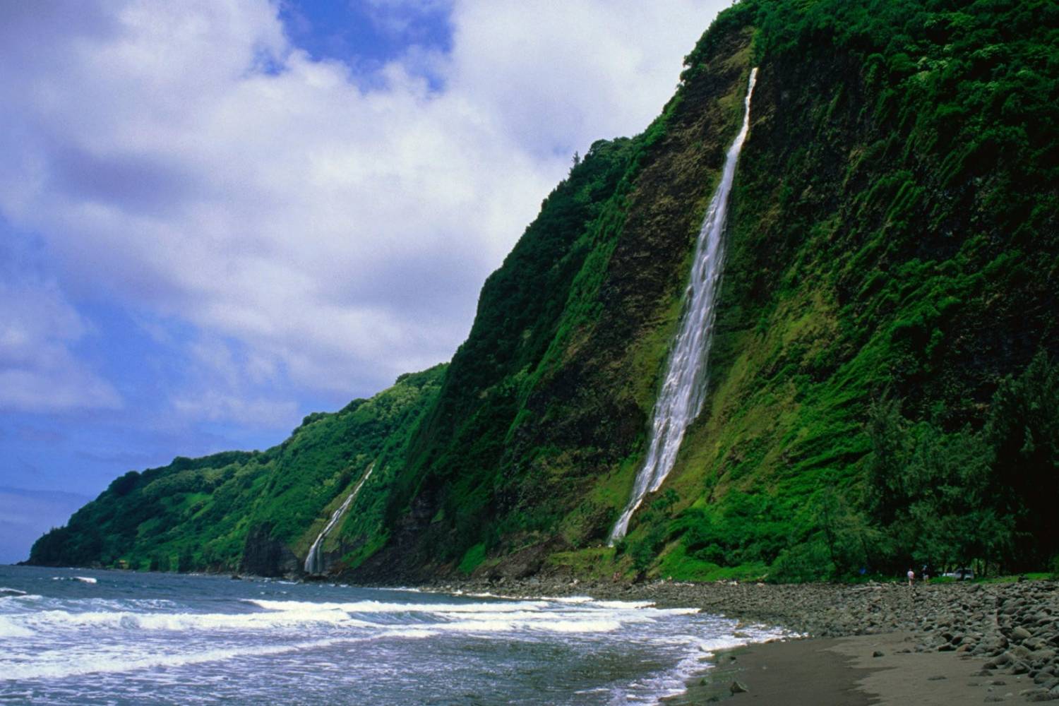 Waterfall in Hamakua Coast - Take a Chef Want to surprise your guests with a new gastronomical experience? Book a private chef! Now available in Hamakua Coast - Take a Chef, header