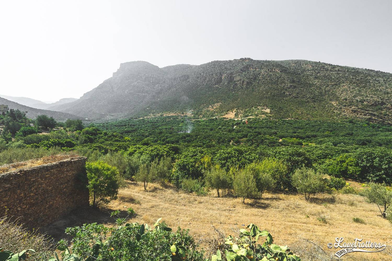 Private Chef in Berkane Private Chef in Berkane header