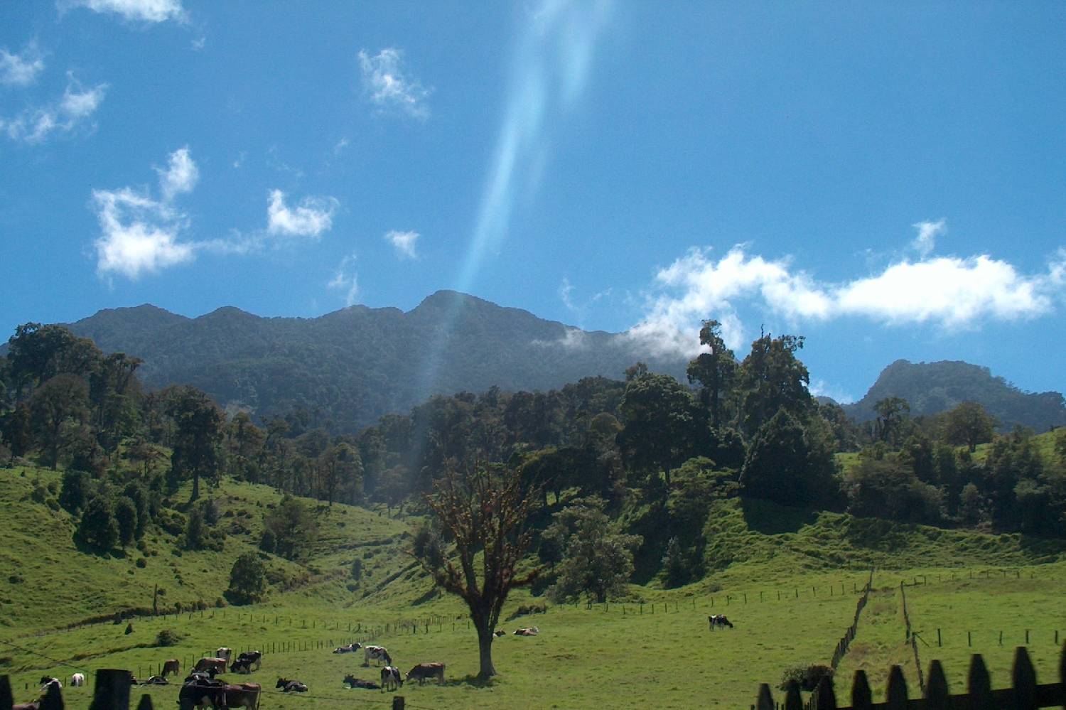 Private Chef in Provincia de Chiriquí Private Chef in Provincia de Chiriquí header