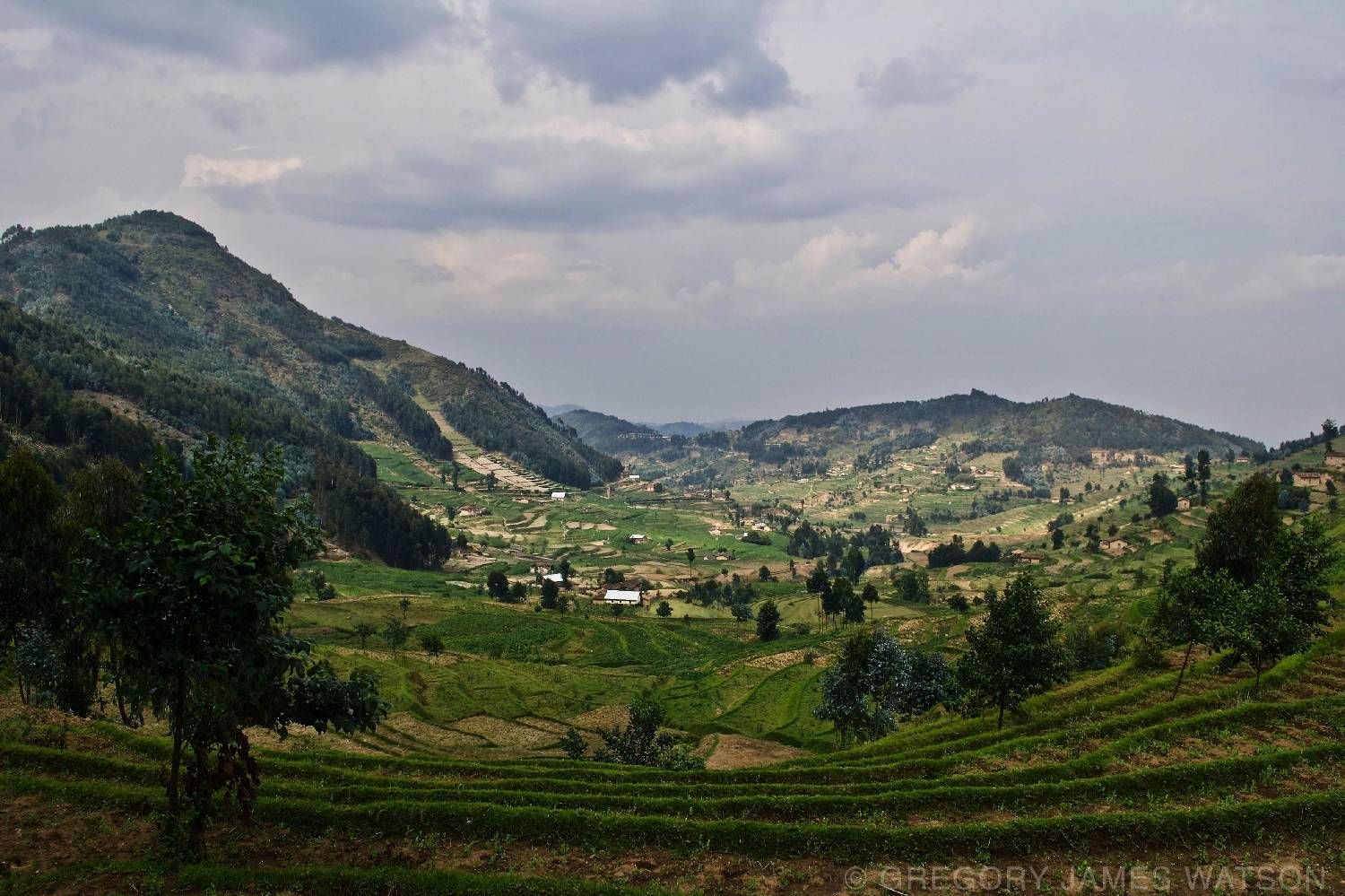 Private Chef in Ngororero District Private Chef in Ngororero District header