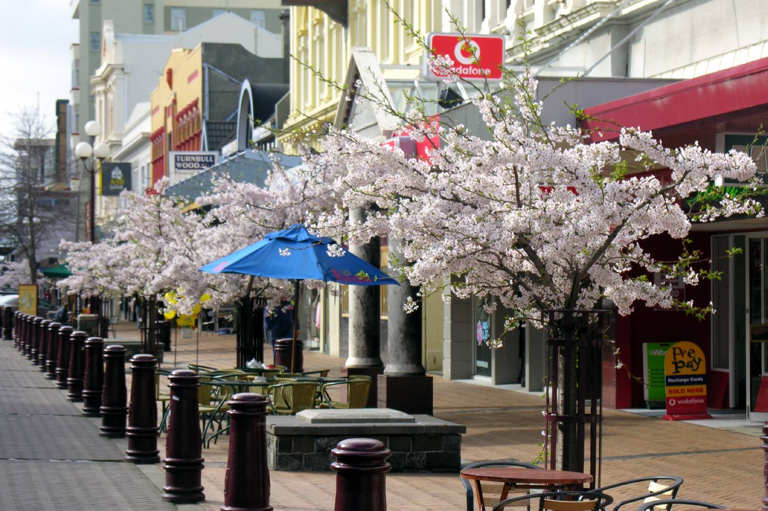 Private Chef in Invercargill City Private Chef in Invercargill City header