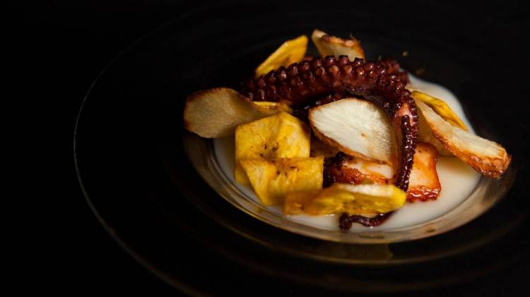 An outstanding dish cooked by Private Chef in Jefferson City Dish cooked by a Private Chef in Jefferson City