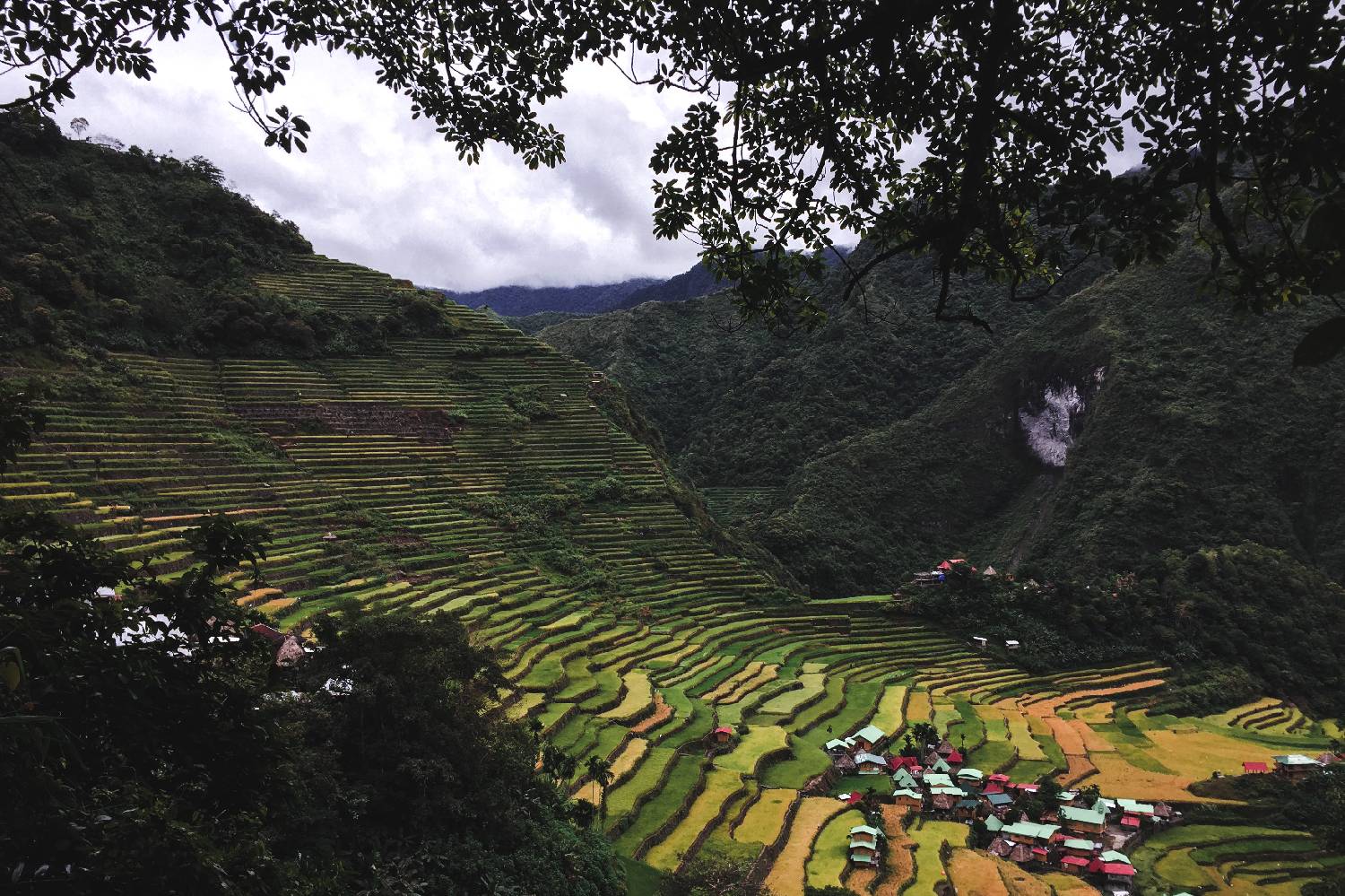 Private Chef in Province of Ifugao Private Chef in Province of Ifugao header