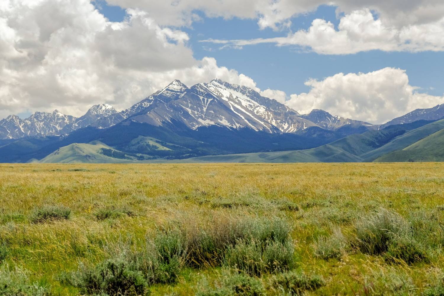 Enjoy the best Personal Chefs of Idaho at home Book a Personal Chef in Idaho for your holidays