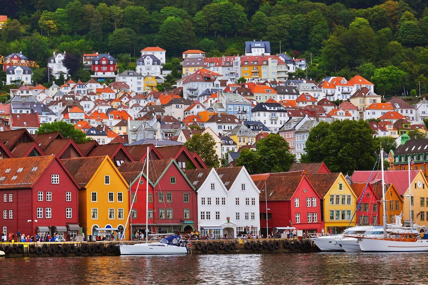Port of Bergen Private Chef in Norway header