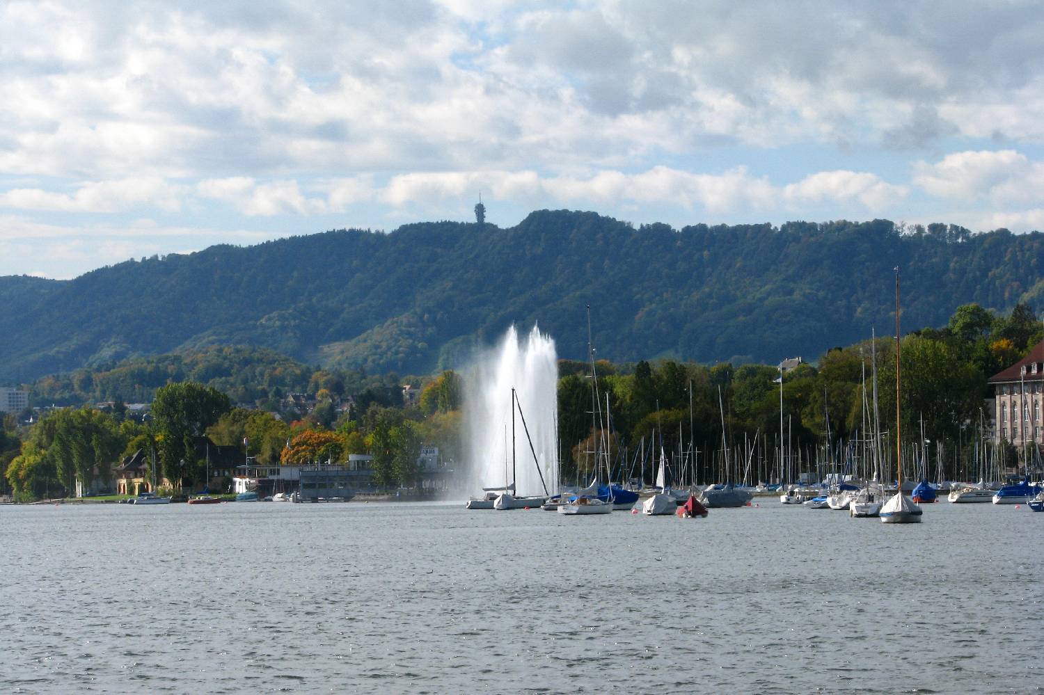 Private Chef in Canton of Zurich Private Chef in Canton of Zurich header