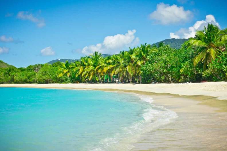 Awesome views of Brewers bay´s beach Awesome views of Brewers bay´s beach - Take a Chef