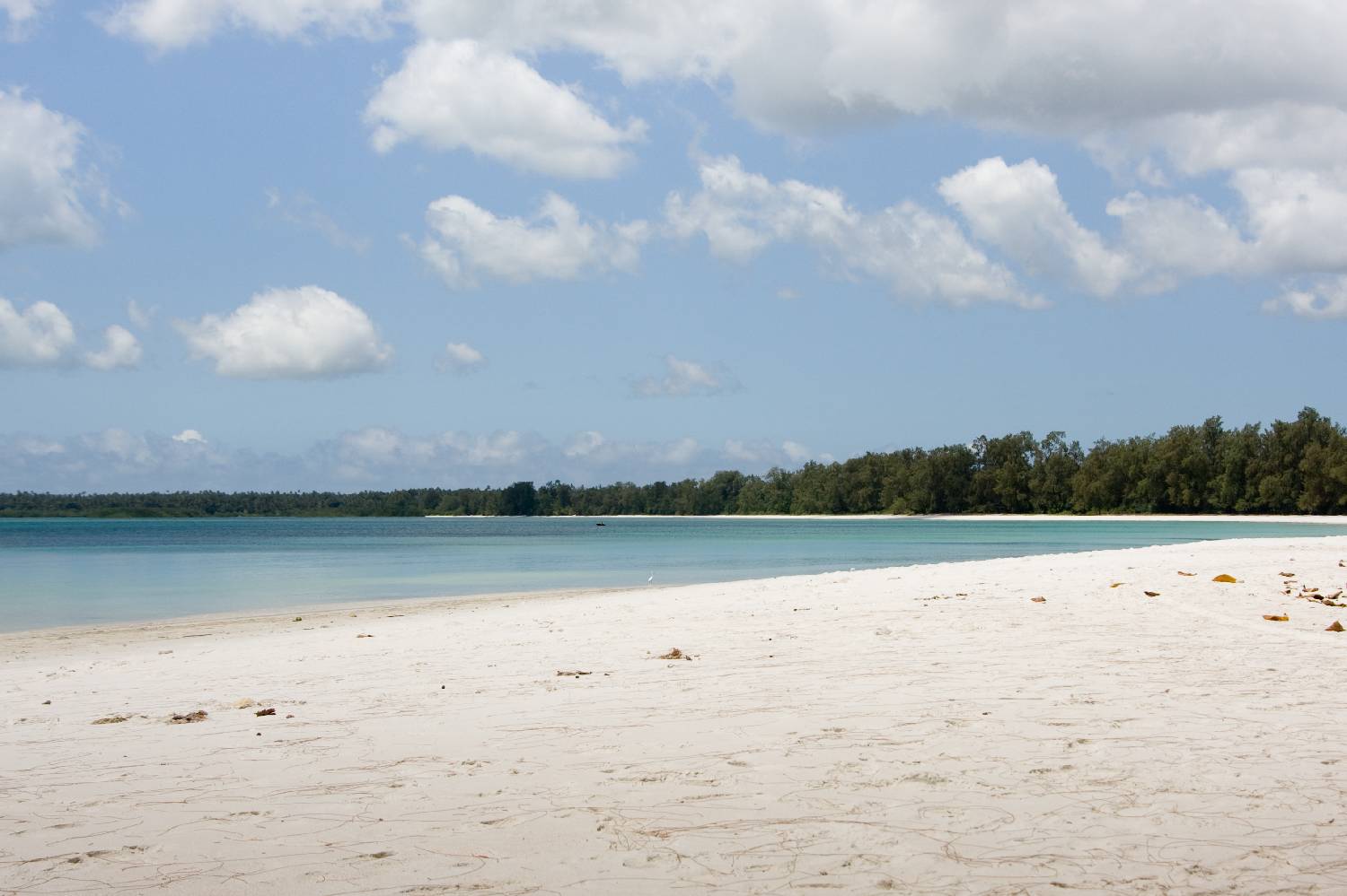 Private Chef in Pemba North Region Private Chef in Pemba North Region header