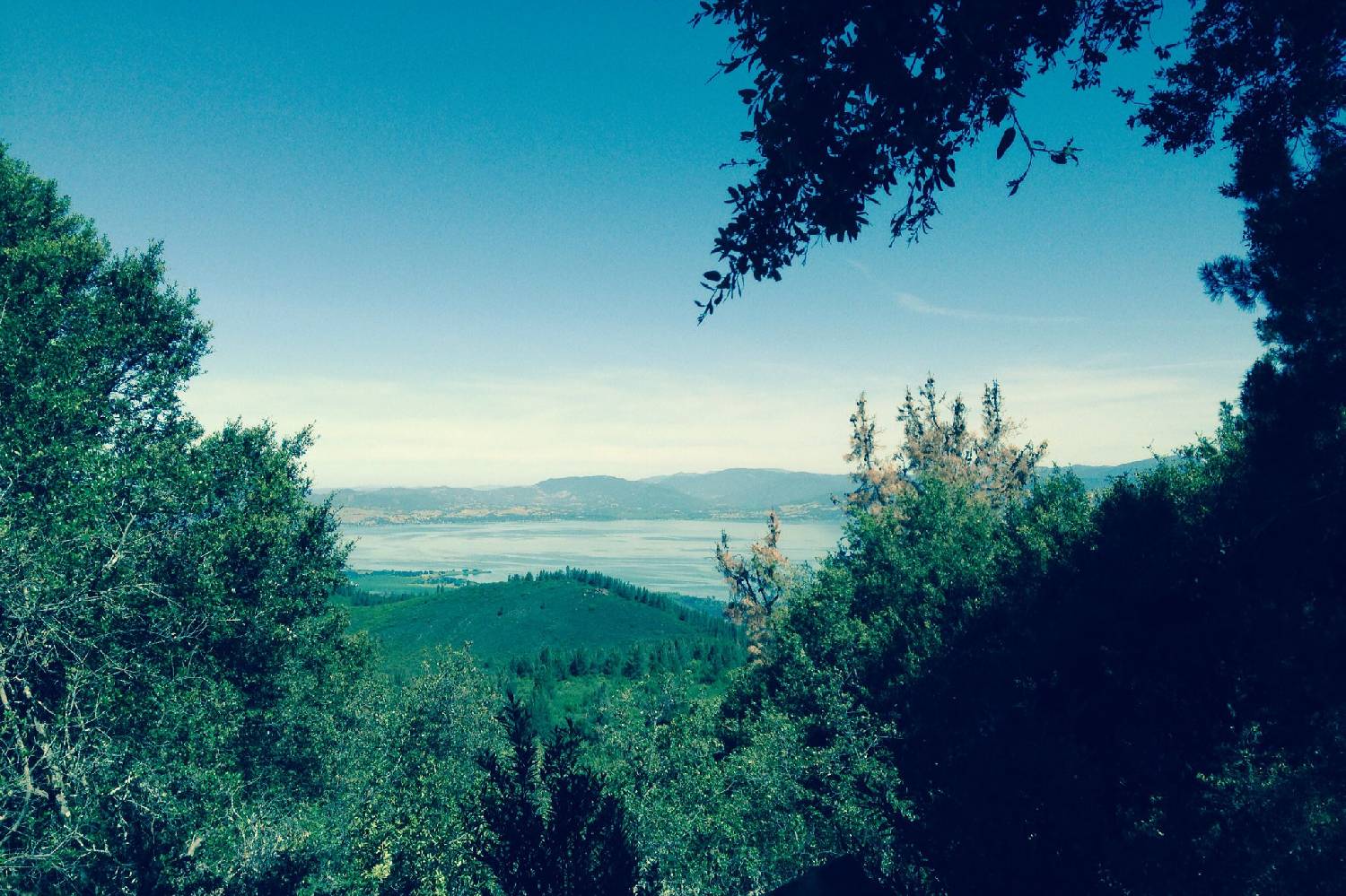 Private Chef in Clearlake Private Chef in Clearlake header