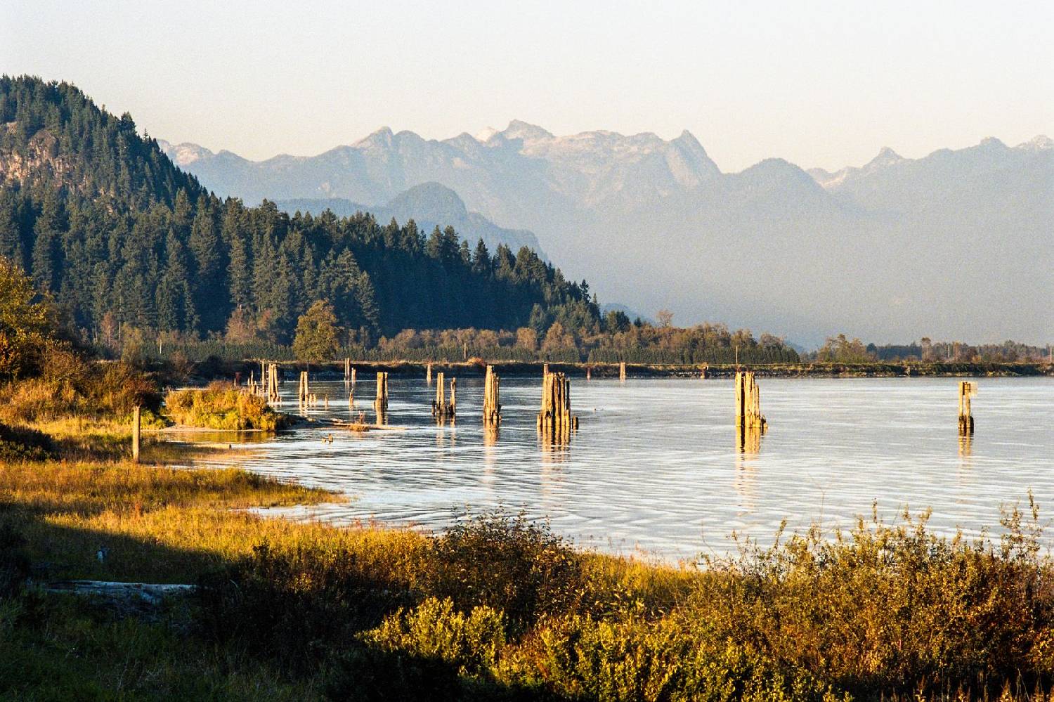Private Chef in Port Coquitlam Private Chef in Port Coquitlam header