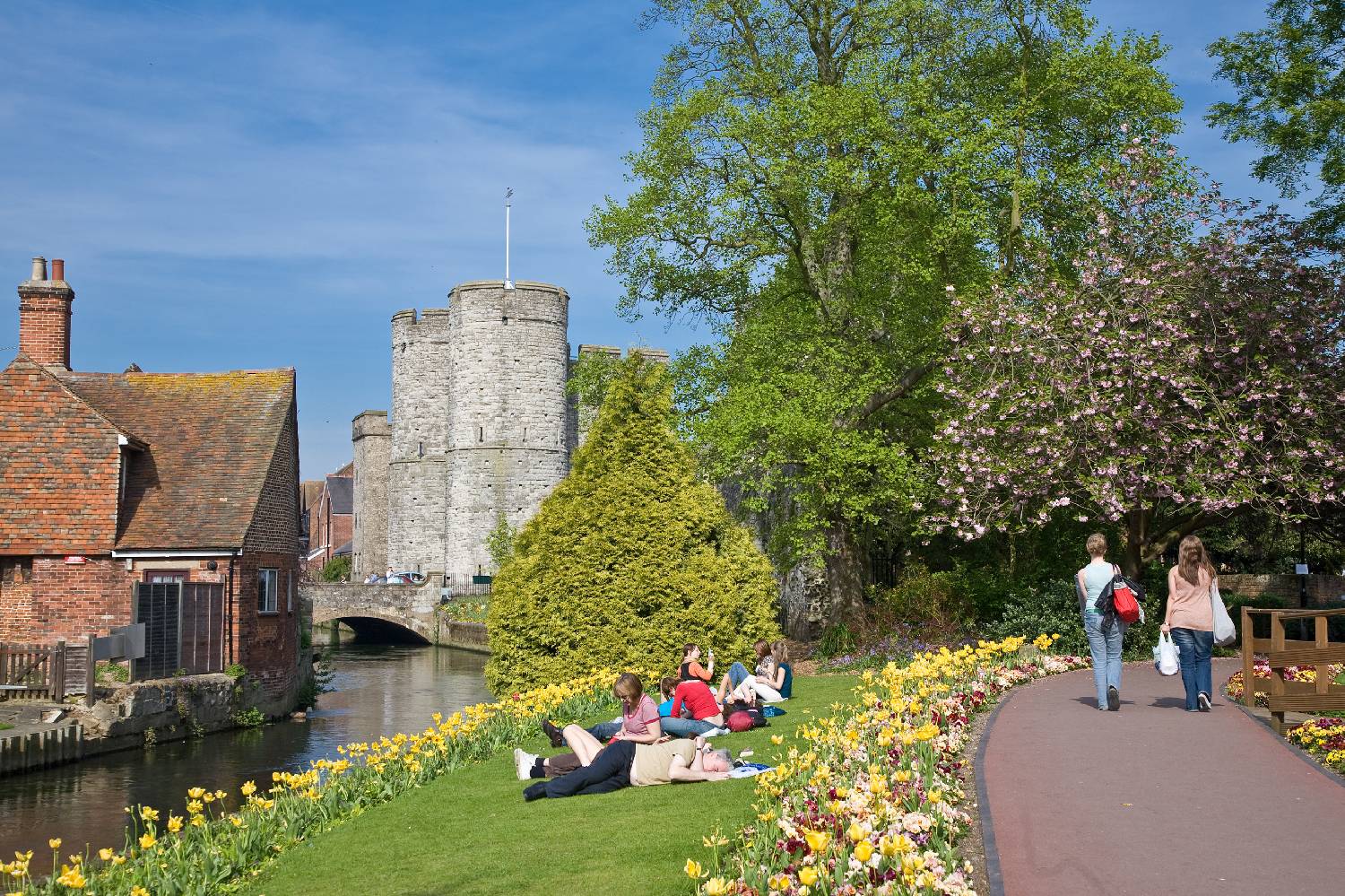 Private Chef in Canterbury Private Chef in Canterbury header