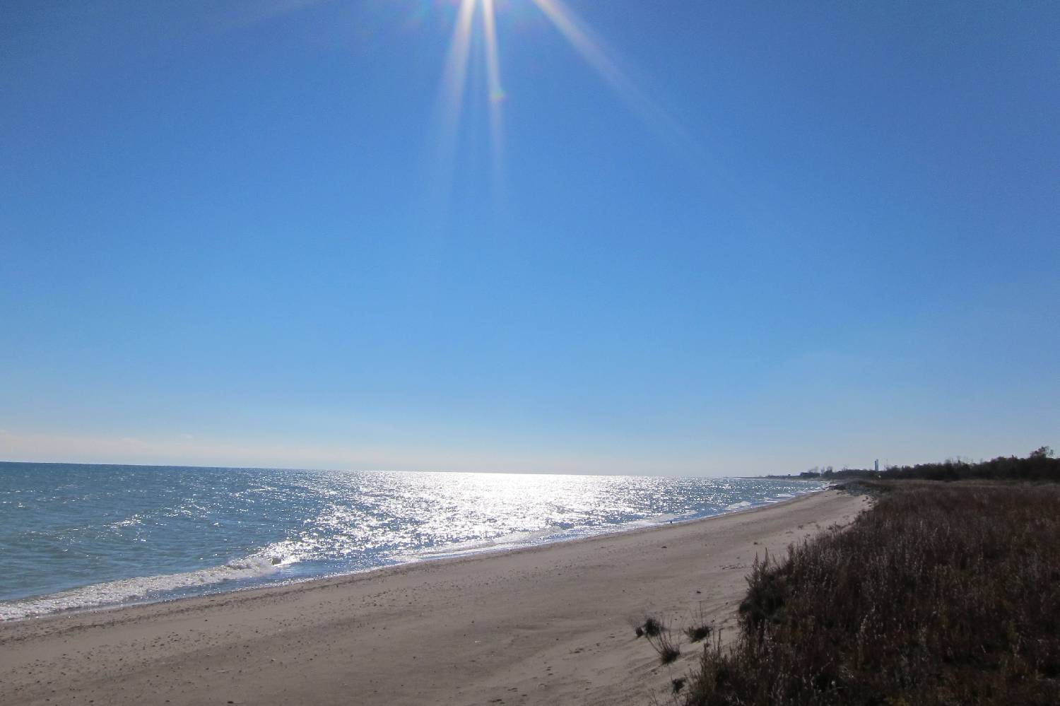 Private Chef in Beach Park Private Chef in Beach Park header