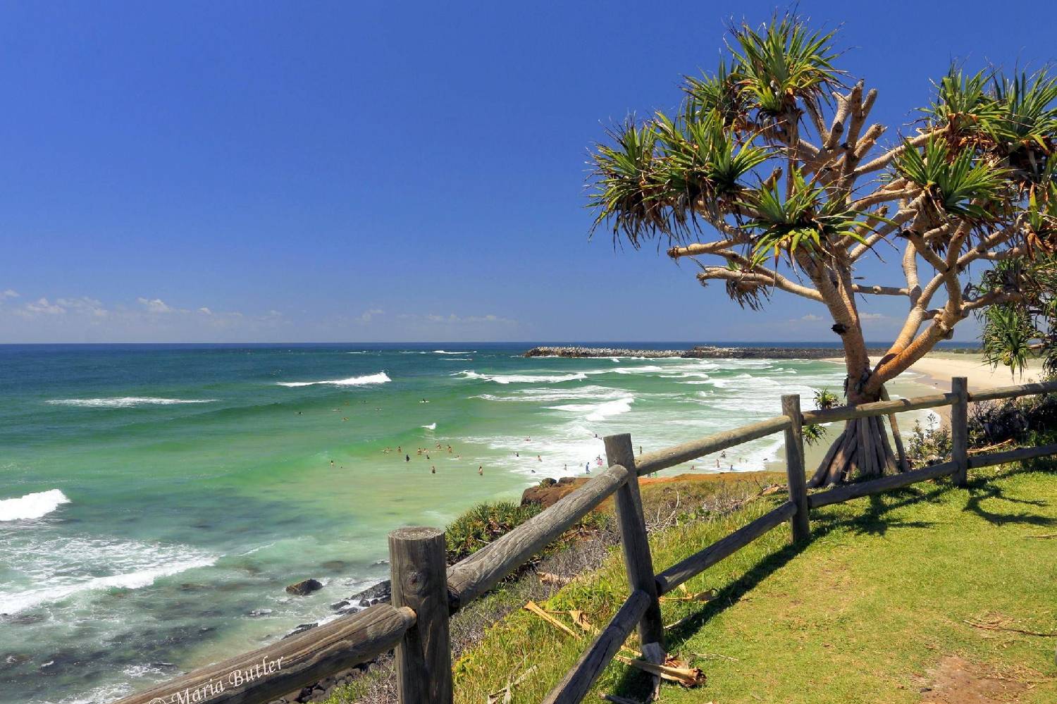 Private Chef in Ballina Private Chef in Ballina header