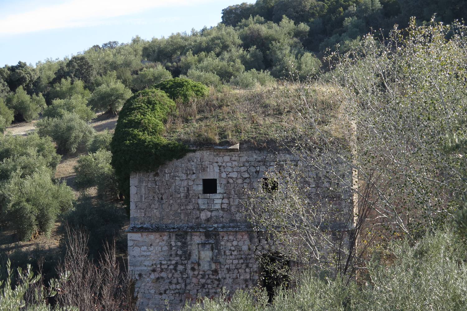 Chef a Domicilio en Torredonjimeno Chef a Domicilio en Torredonjimeno header