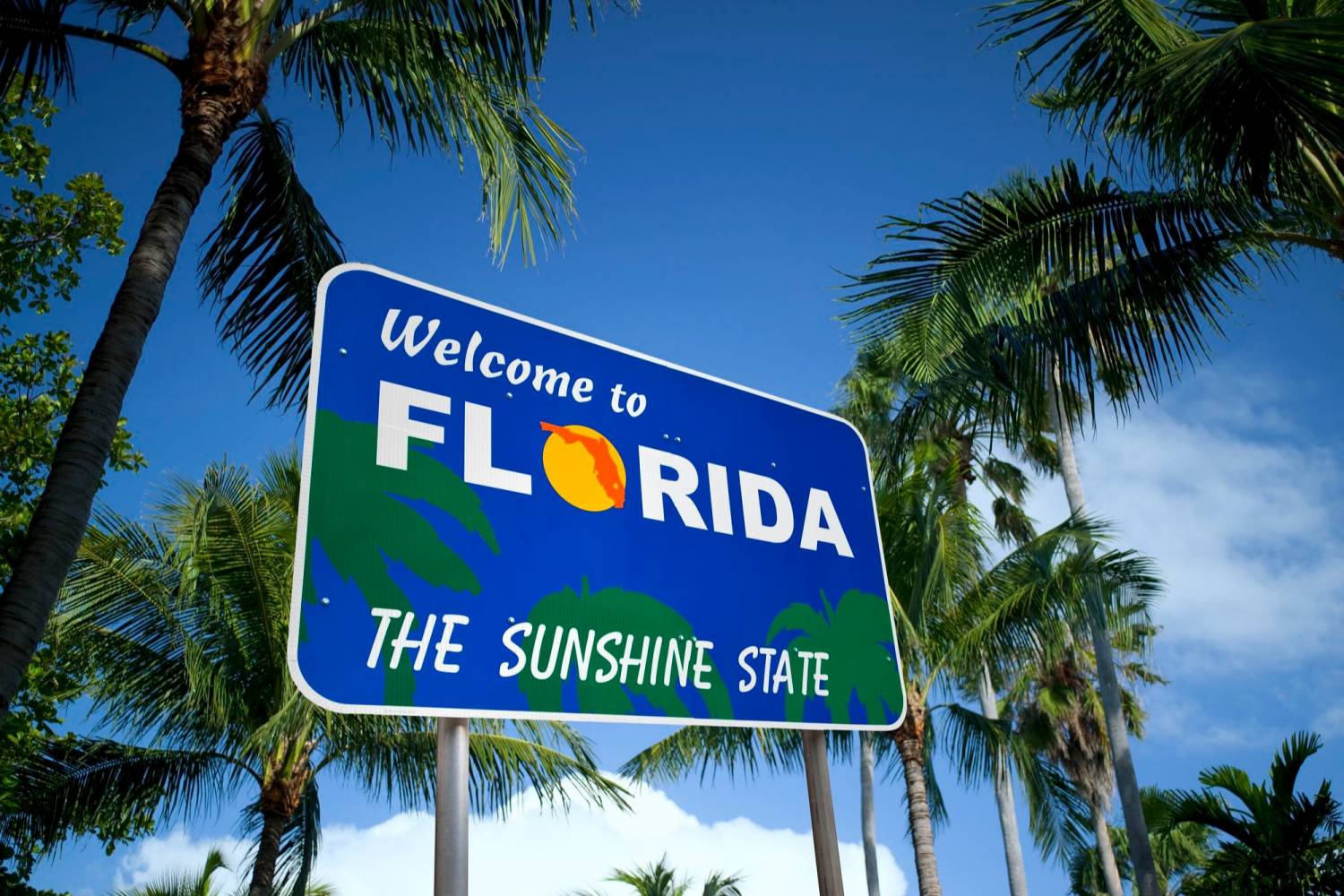 Enjoy the best Personal Chefs of Florida at home Book a Personal Chef in Florida for your holidays