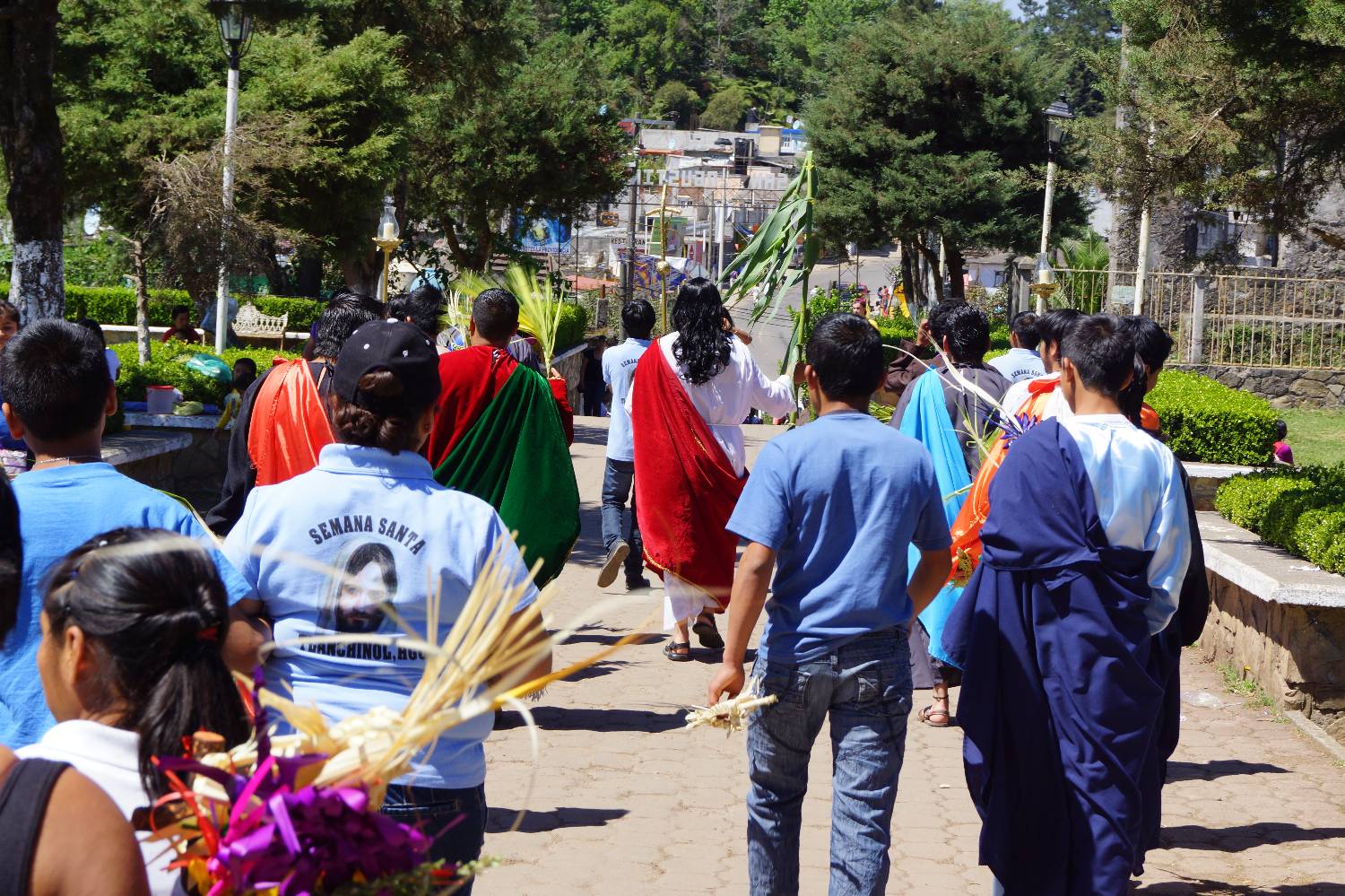 Chef a Domicilio en Tlanchinol Chef a Domicilio en Tlanchinol header
