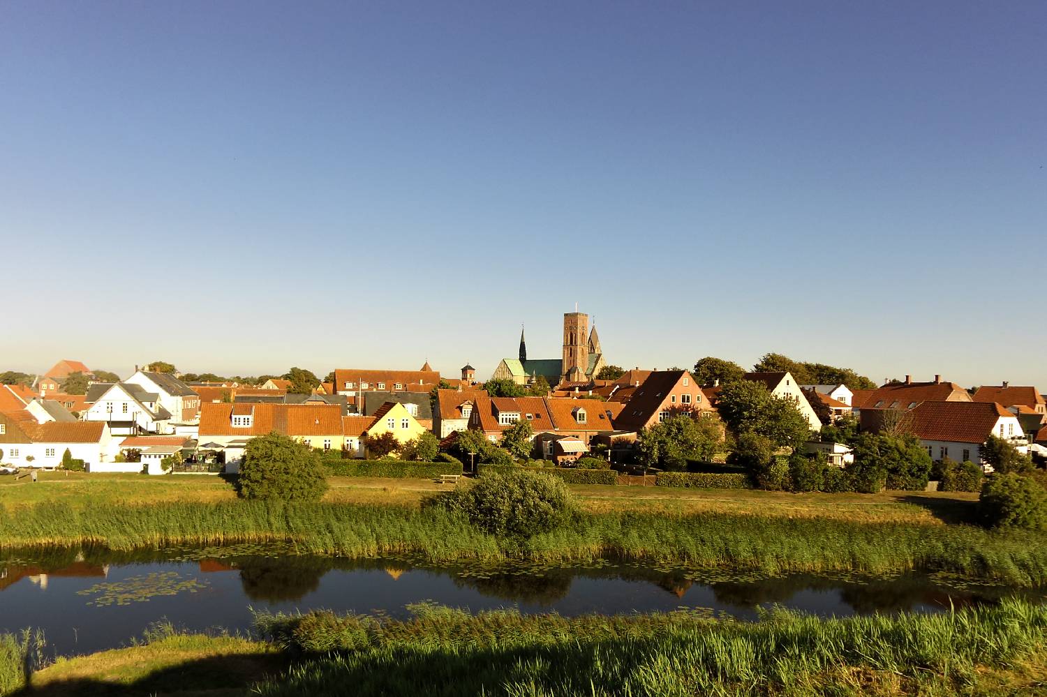 Private Chef in Region Syddanmark Private Chef in Region Syddanmark header