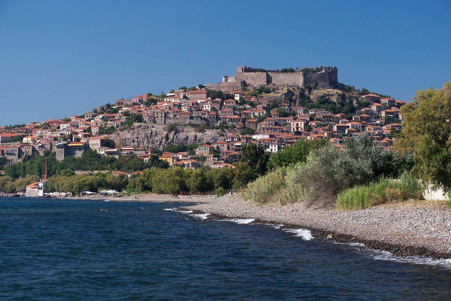 Private Chef in Lesbos Private Chef in Lesbos header