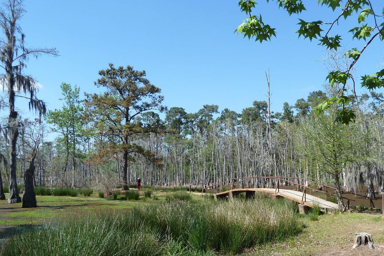 Private Chef in Moss Bluff Private Chef in Moss Bluff header