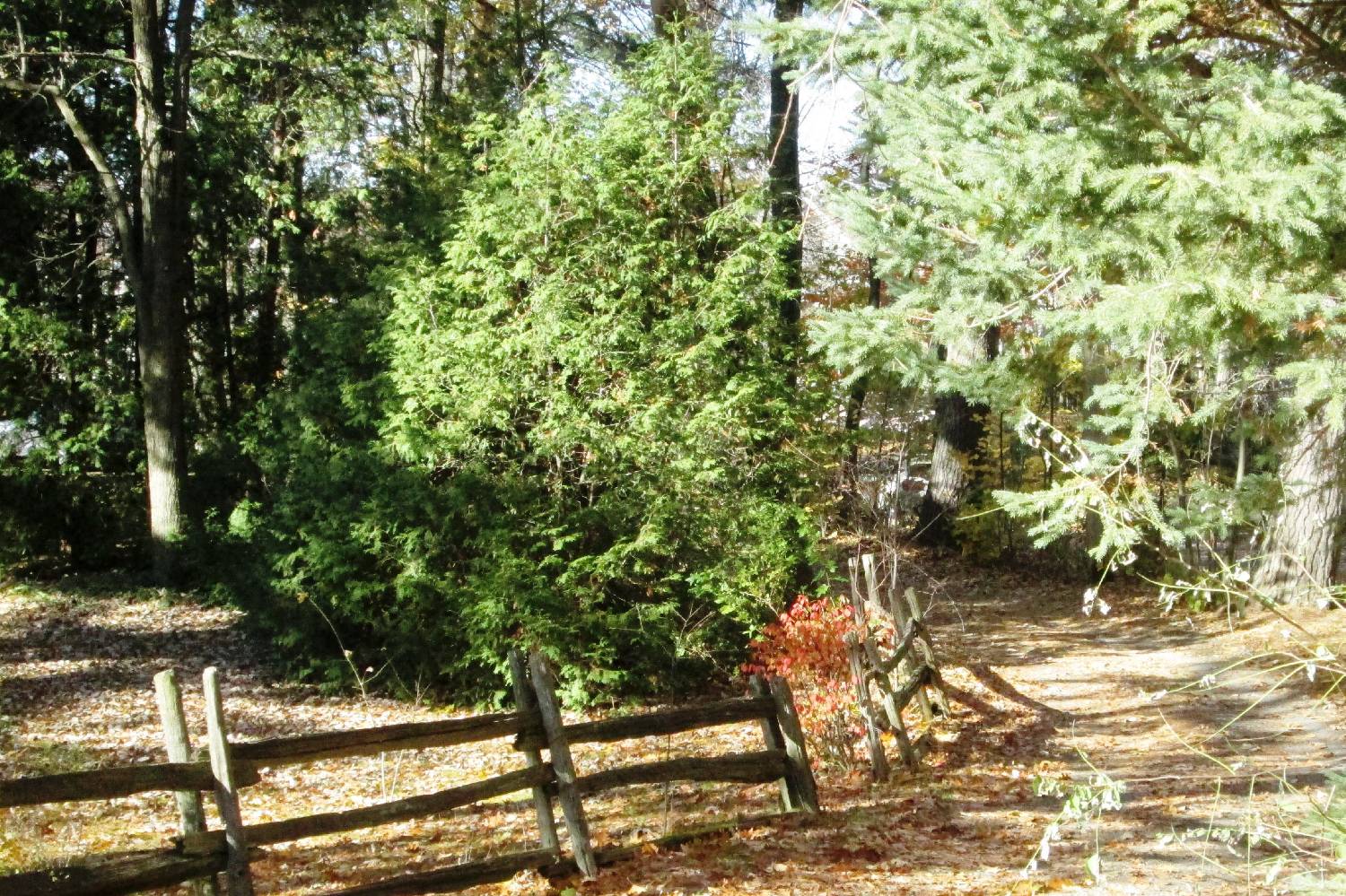 Private Chef in Otterburn Park Private Chef in Otterburn Park header