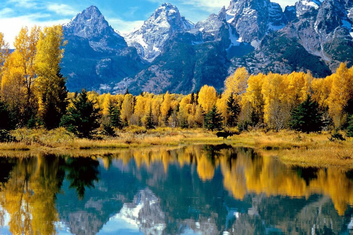 Enjoy the best Personal Chefs of Jackson Hole at home Book a Personal Chef in Jackson Hole for your holidays