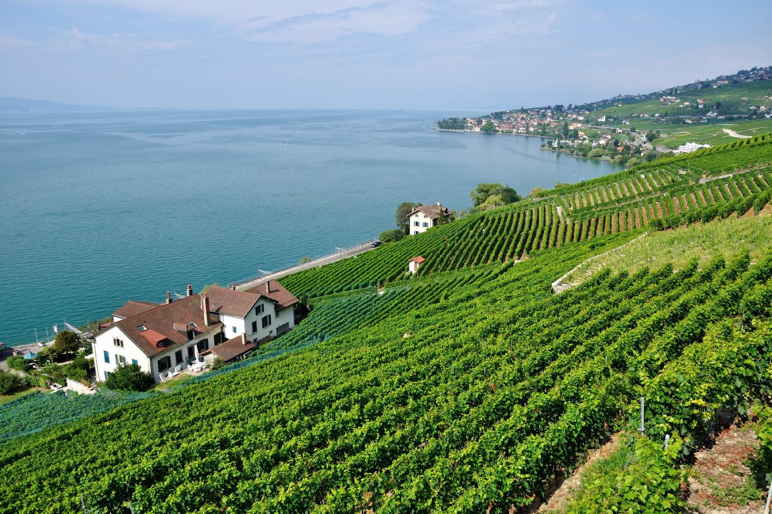 Private Chef in Canton of Vaud Private Chef in Canton of Vaud header