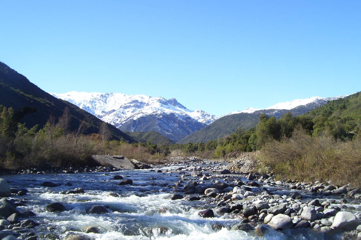 Private Chef in Rancagua Private Chef in Rancagua header