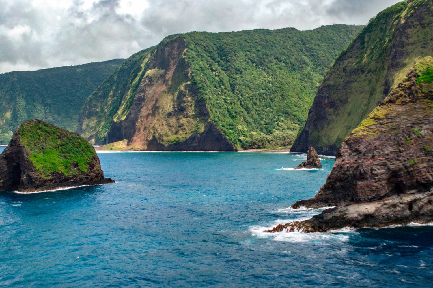 Enjoy the best Personal Chefs of Kohala Coast at home Book a Personal Chef in Kohala Coast for your holidays