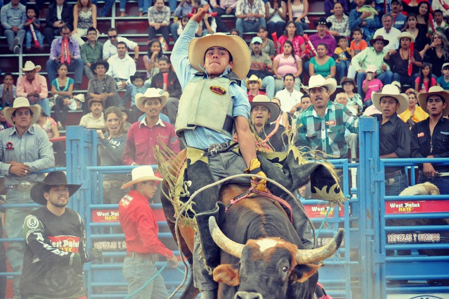 Chef a Domicilio en Rodeo Chef a Domicilio en Rodeo header