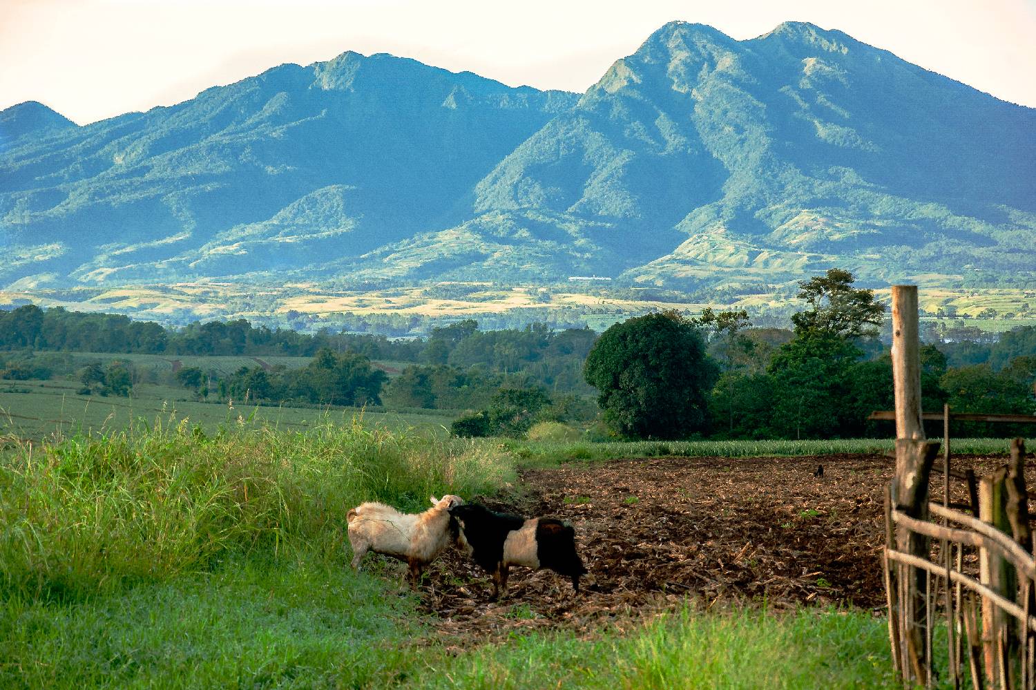 Private Chef in Northern Mindanao Private Chef in Northern Mindanao header
