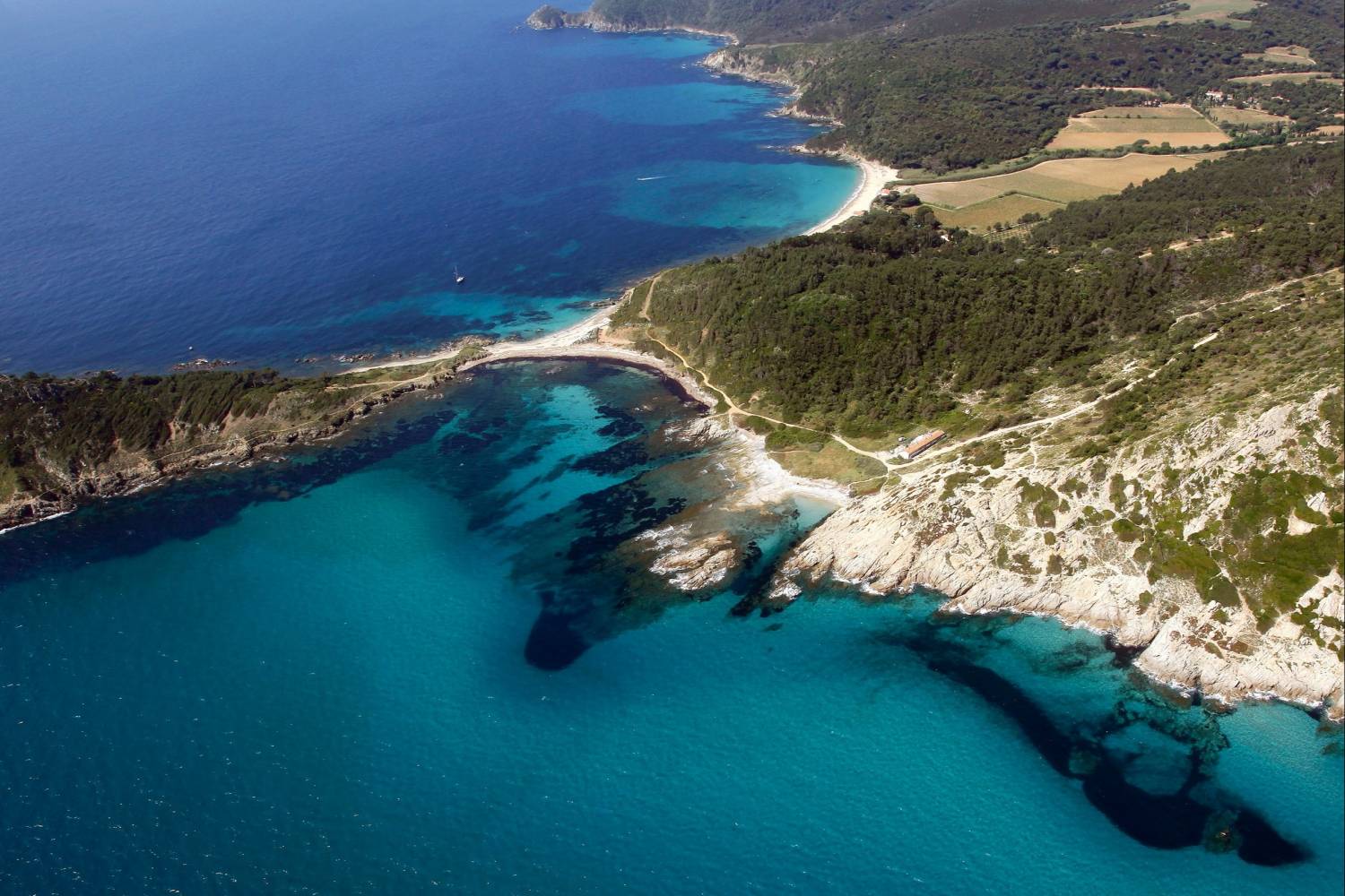 Profitez d'un chef privé après une journée incroyable en Ramatuelle Profitez d'un chef privé après une journée incroyable en Ramatuelle - Take a Chef