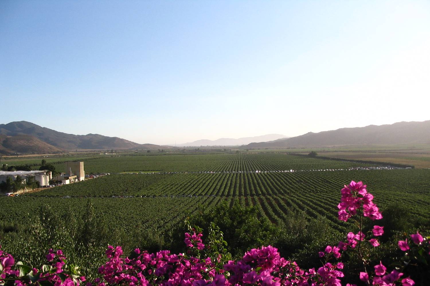 Chef a Domicilio en Valle de Guadalupe Chef a Domicilio en Valle de Guadalupe header