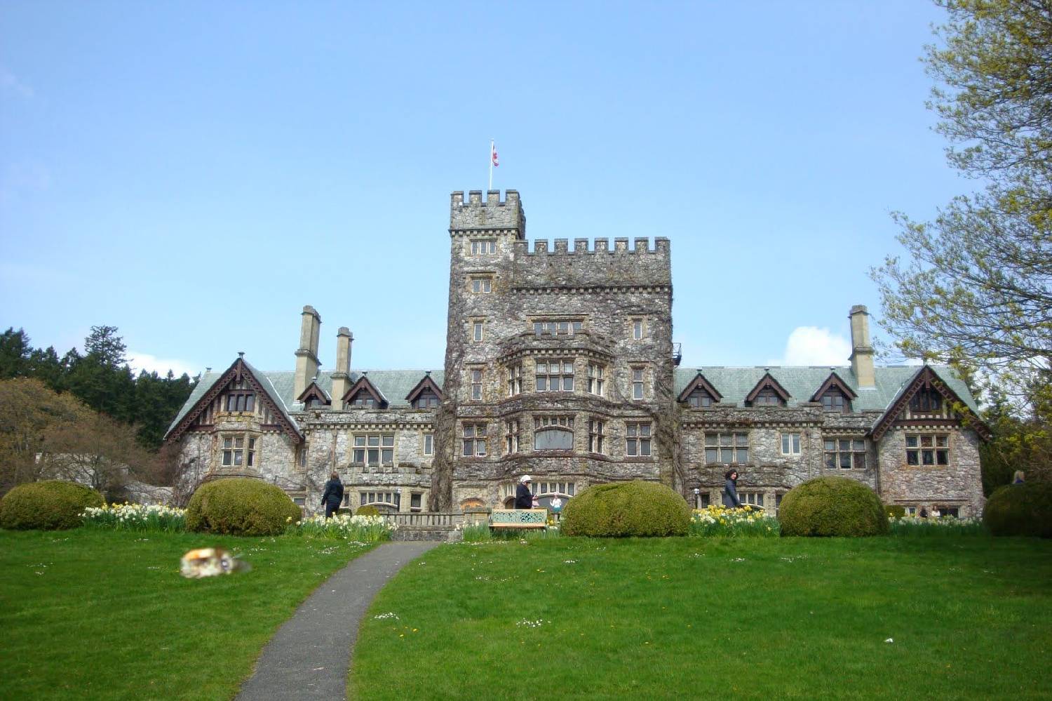 Private Chef in Colwood Private Chef in Colwood header