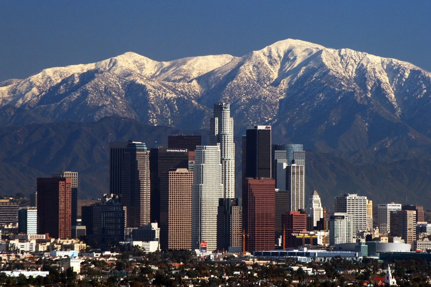 Skyline and Mountains of Phoenix Private Chef in Phoenix header