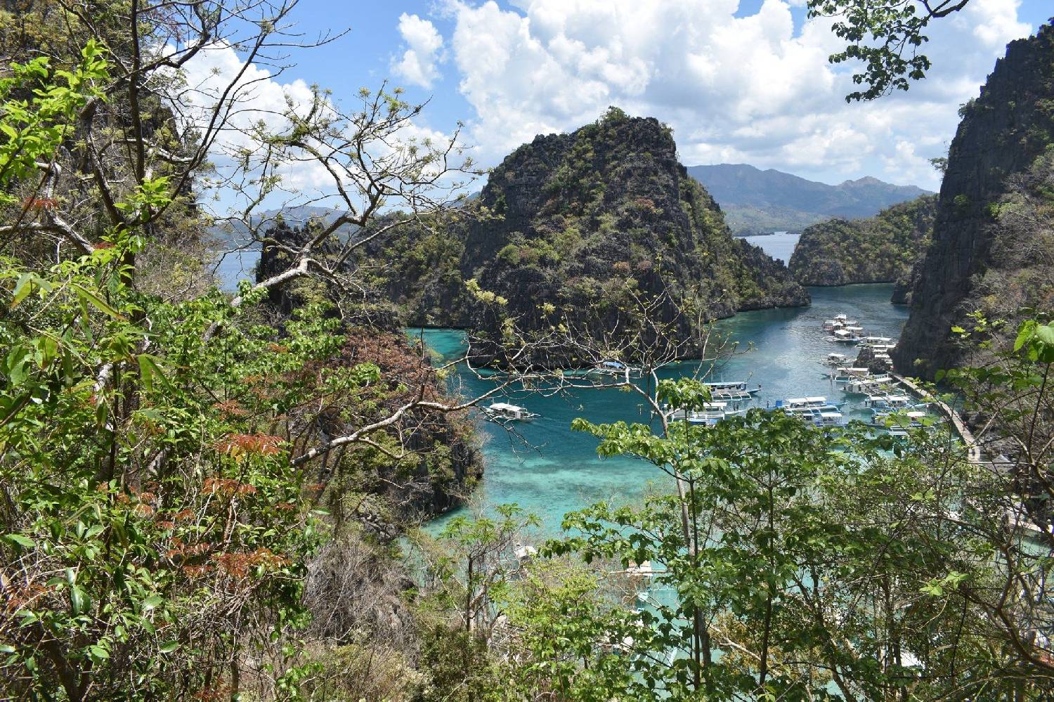 Private Chef in Province of Palawan Private Chef in Province of Palawan header
