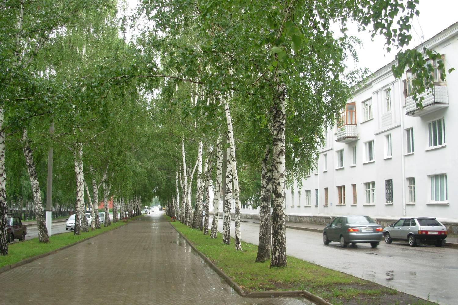 Private Chef in Salavat Private Chef in Salavat header